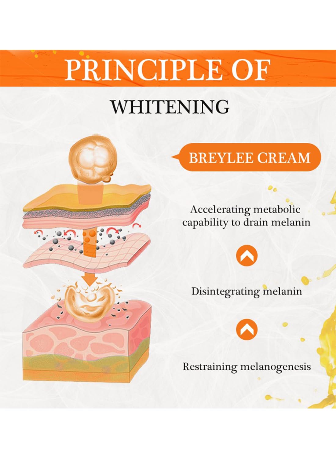 Face Cream with Vitamin C, Hydrating Anti-Aging Facial Moisturizer Cream 50g