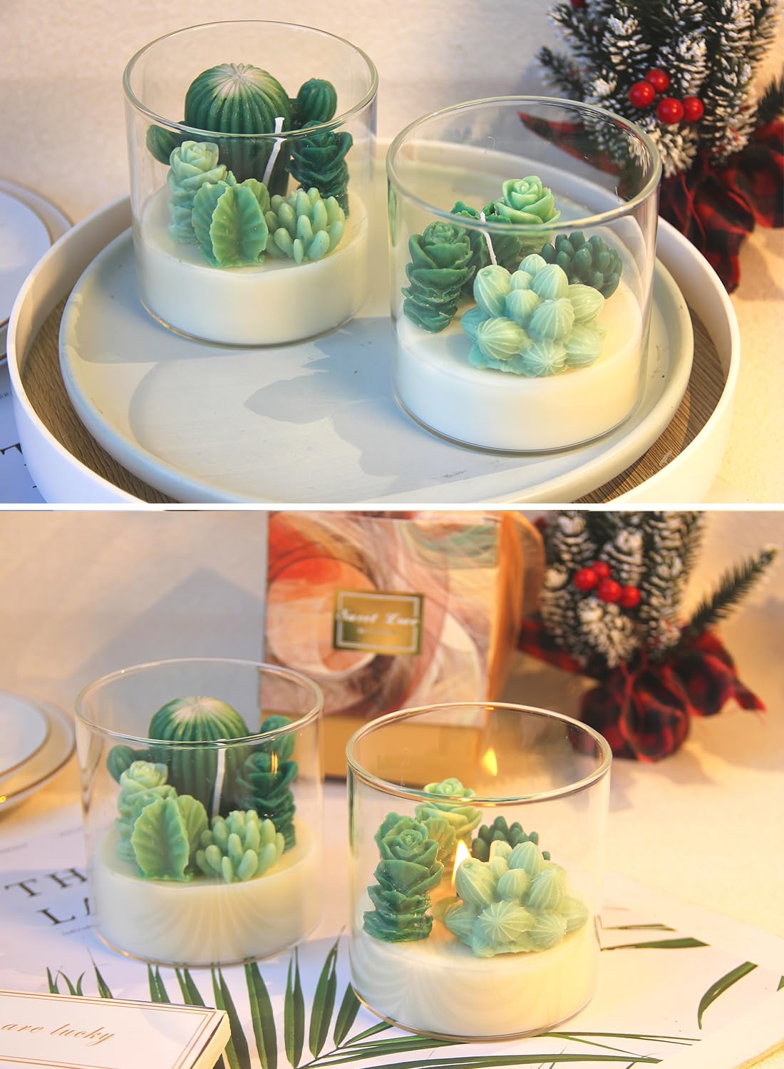 Succulent Scented Candles, Long Lasting Natural Lovely Scented Candles Gift Set, Mini Plants Candles for Spa Home Party Decors Wedding and Warm Gifts
