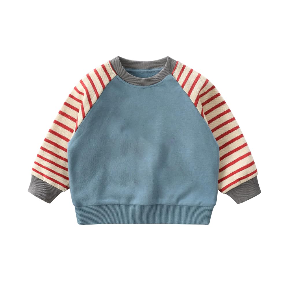 L&Wen Boys  Long Sleeve Sweatshirt