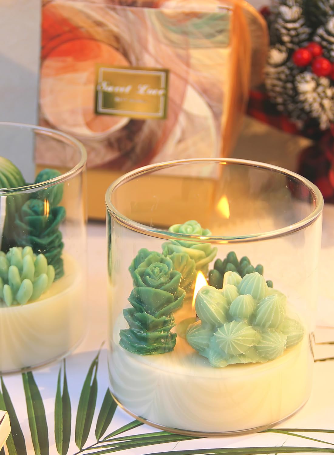 Succulent Scented Candles, Long Lasting Natural Lovely Scented Candles Gift Set, Mini Plants Candles for Spa Home Party Decors Wedding and Warm Gifts