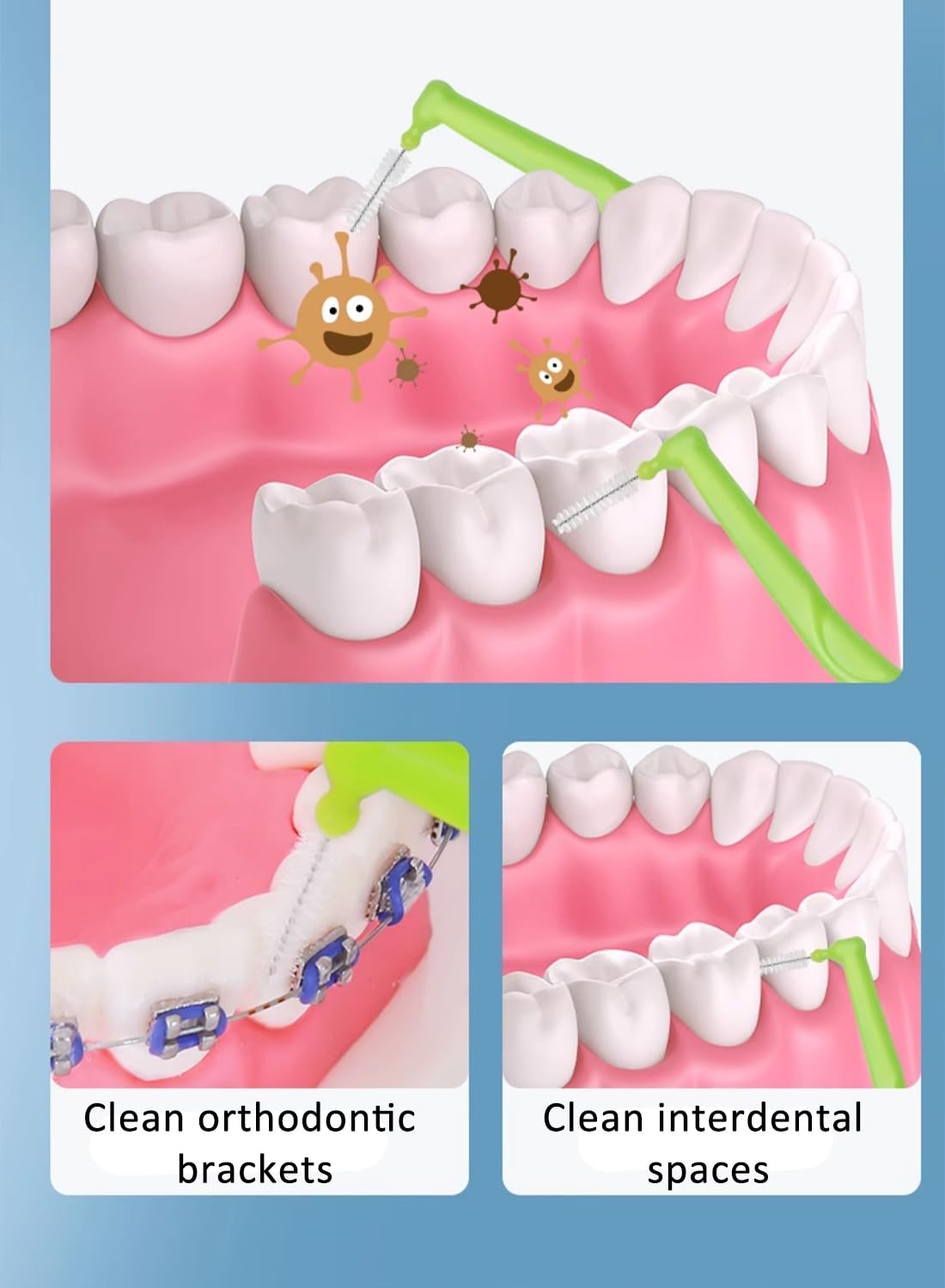 10Pcs L-Shaped Interdental Brushes Set
