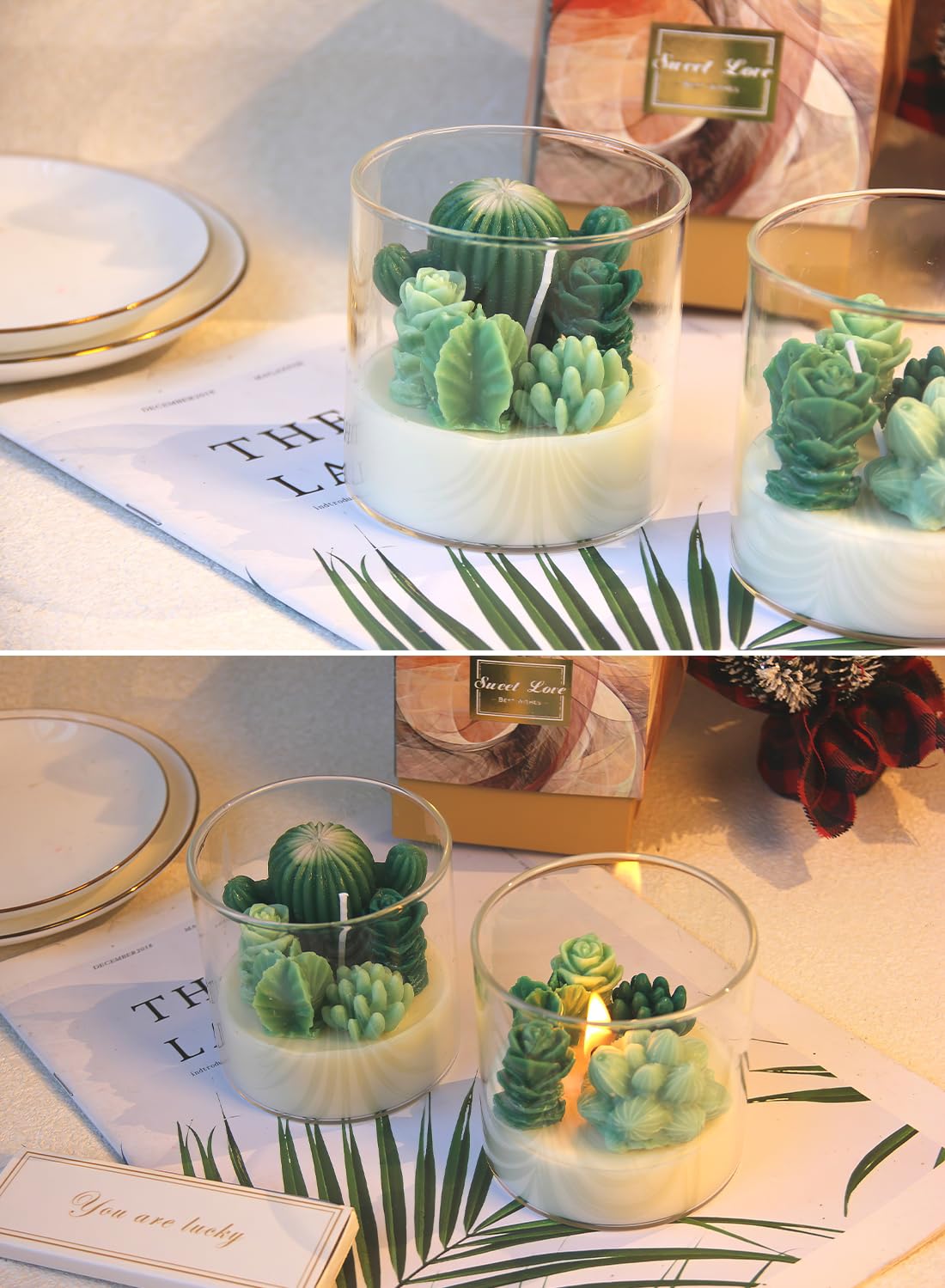Succulent Scented Candles, Long Lasting Natural Lovely Scented Candles Gift Set, Mini Plants Candles for Spa Home Party Decors Wedding and Warm Gifts