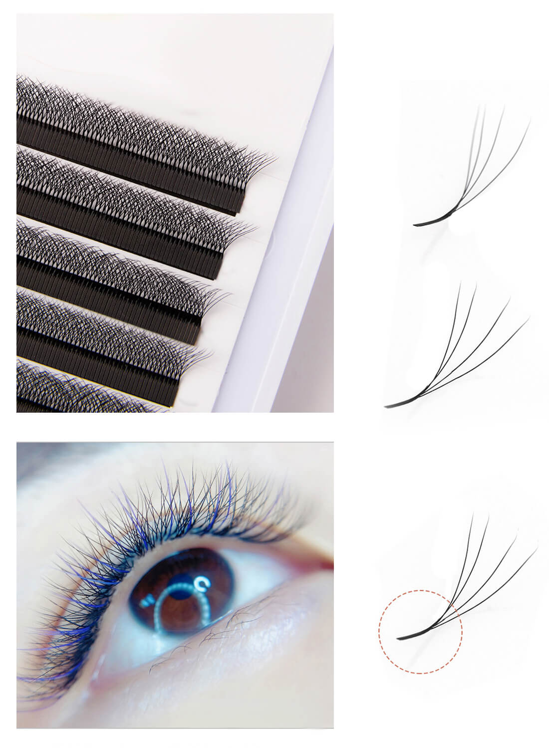 L&wen Auto Fans Fake False Eyelashes for Extension Grafting