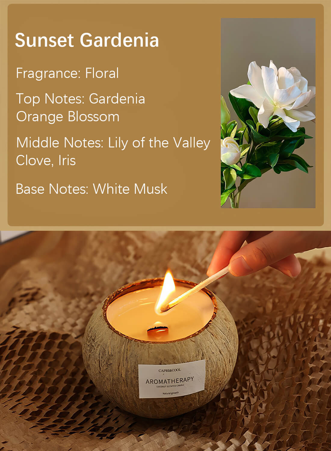 Scented Soy Coconut Shell Candles 200g